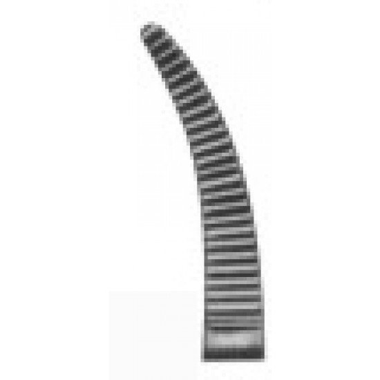2556 2556